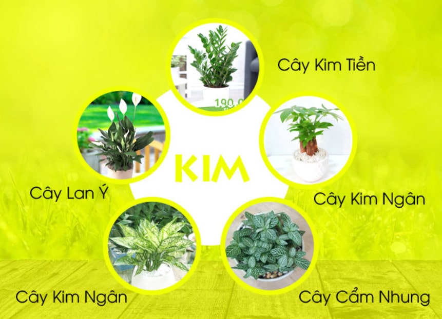 Thiết Kế Nhà Ở Phong Thuỷ Mệnh Kim Thiết Kế Nhà Ở Phong Thuỷ Mệnh Kim