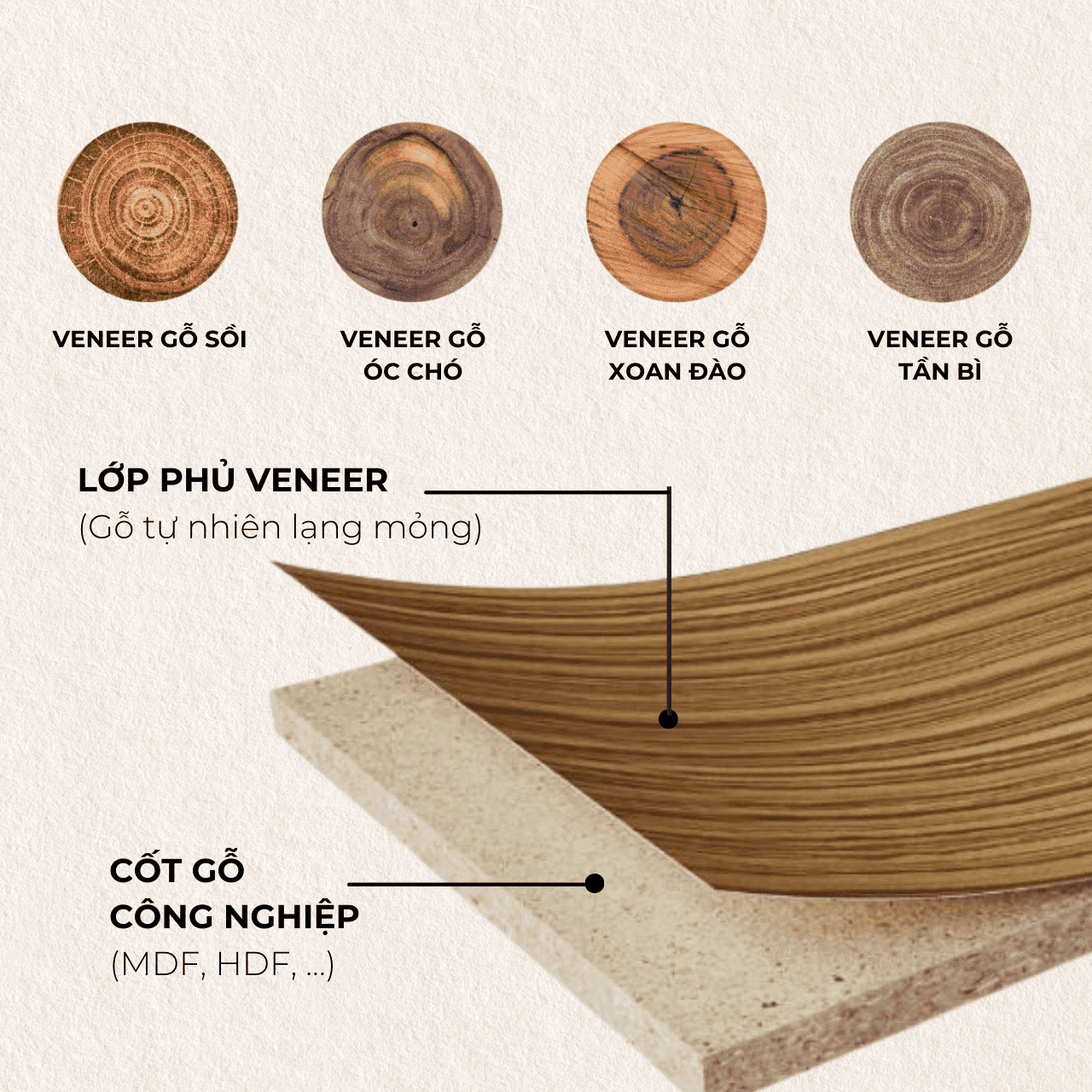 gỗ phủ veneer Cấu tạo của gỗ phủ veneer