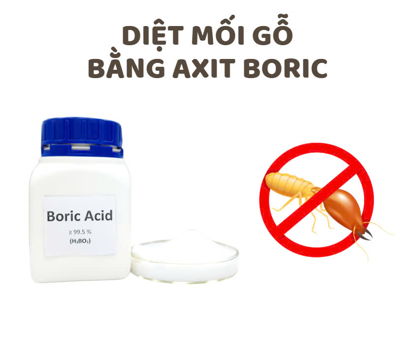 Cách Diệt Mối Tại Nhà Cách Diệt Mối Tại Nhà