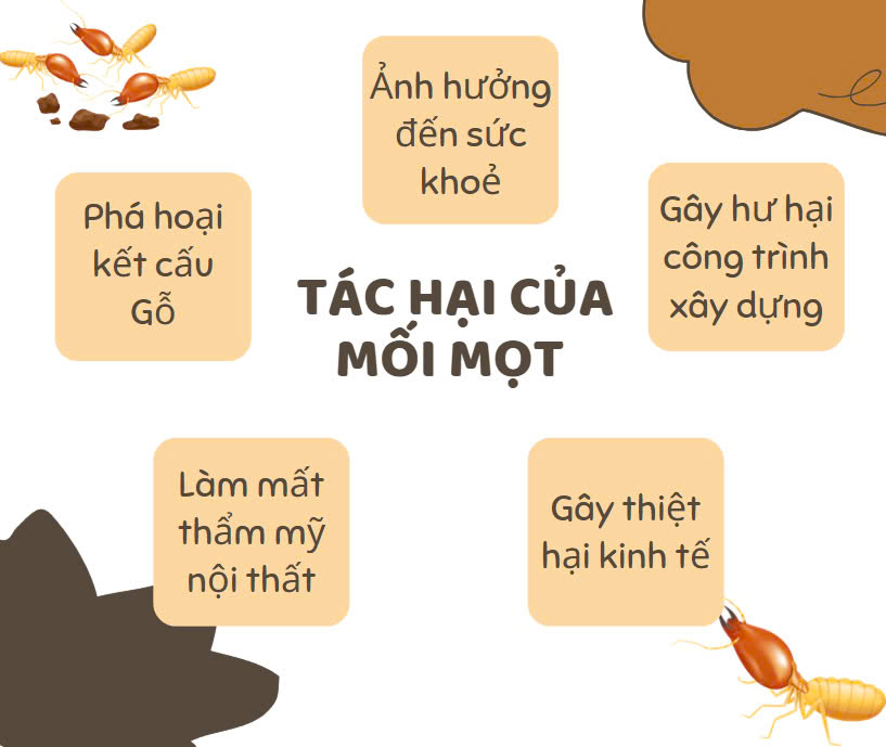 Cách Diệt Mối Tại Nhà Cách Diệt Mối Tại Nhà